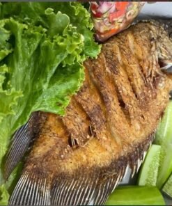 Paket Nasi Box Selasa