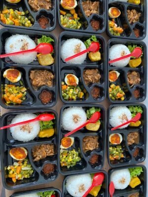 Nasi Bento 06